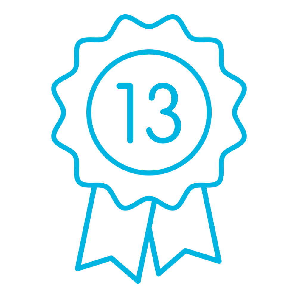 13 directors