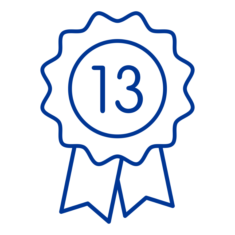 13 directors